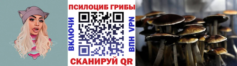 Псилоцибиновые грибы GOLDEN TEACHER Новотитаровская